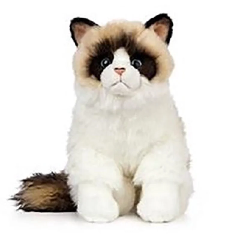 Plush Ragdoll Cat AN567